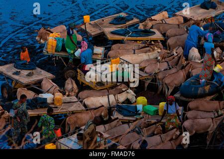 Senegal, Sahel, Ferlo region, Widou Thiengoly, Fetching and carrying water Stock Photo