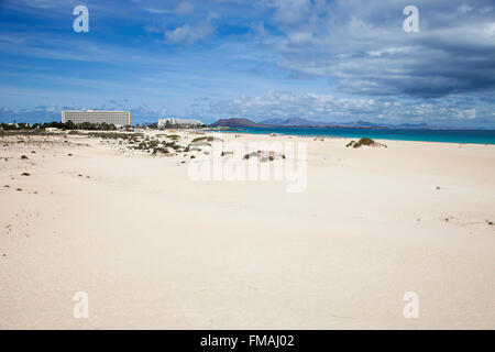 beach, Parque Natural de Corralejo, Fuerteventura island, Canary archipelago, Spain, Europe Stock Photo