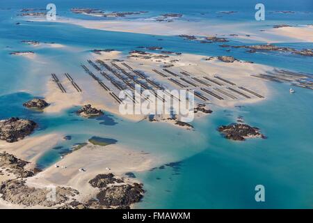 France, Manche, Chausey islands, mussel farms (aerial view)
