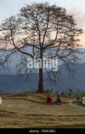 Nepal, Gandaki zone, Gorkha, 2 women sitting near a tree Stock Photo