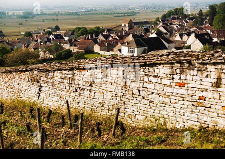 France, Cote d'Or, Volnay, the tourist route of the Grands Crus de Bourgogne, Climats, terroirs of Burgundy listed as World Stock Photo