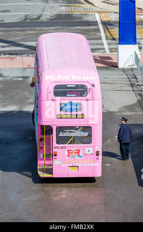 Big Pink Bus Tours in Saint John, New Brunswick, Canada Stock Photo