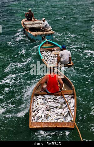 Cuba, Ciego de Avila, Jardines del Rey, Cayo Guillermo, File fish laden boats