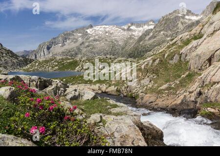 Spain, Catalonia, Val d'Aran, Arties, Aigüestortes i Estany de Sant Maurici National Park, Travessani lake and Besiberri peak Stock Photo