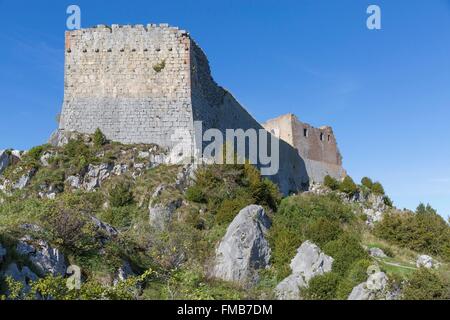 France, Ariege, Montsegur, the castle Stock Photo
