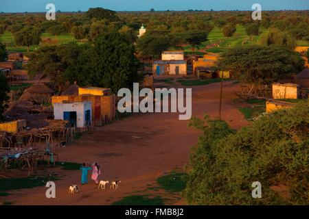 Senegal, Sahel, Ferlo region, Widou Thiengoly, Typical landscape of the Sahel Stock Photo