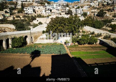 Israel, Palestine, the West Bank ( litigious territory), Dheisheh, Artas, monastery of our Lady of Hortus Conclusus Stock Photo