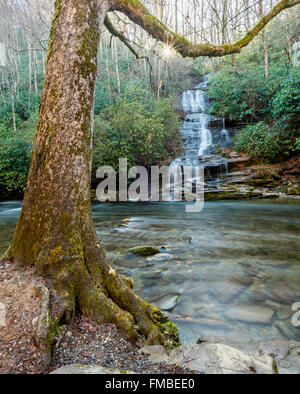Sun rises over water fall across from Deep Creek in the North Carolina section of the Great Smoky Mountains National Park Stock Photo