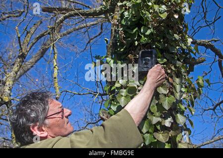 France, Haute Saone, Private park, surveillance camera Stock Photo