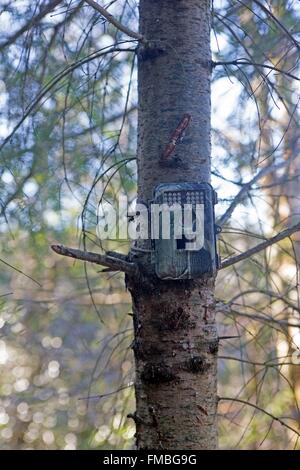 France, Haute Saone, Private park, surveillance camera Stock Photo