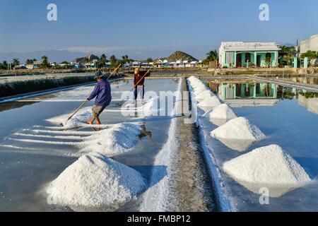 Vietnam, Ninh Thuan province, Phan Rang, salin, harvesting salt in the salins Stock Photo