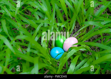 Easter eggs hidden in grass shrub. Homemade, hand painted. Narrow depth of field. Selected focus. Stock Photo