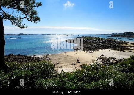 France, Finistere, Ile de Batz, Pors An Iliz beach Stock Photo