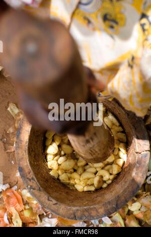 Senegal, Sahel, Ferlo region, Widou Thiengoly, Shelling seeds Stock Photo