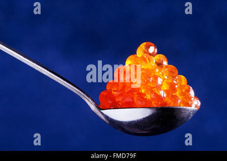 Red caviar in the spoon on a dark blue background Stock Photo