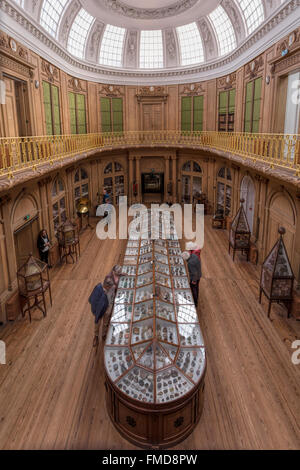 High angle view from the first floor into the Oval Room at the Teylers Museum, Haarlem, North Holland, The Netherlands. Stock Photo
