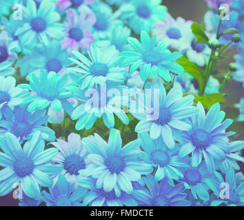 Blue vintage floral background Stock Photo