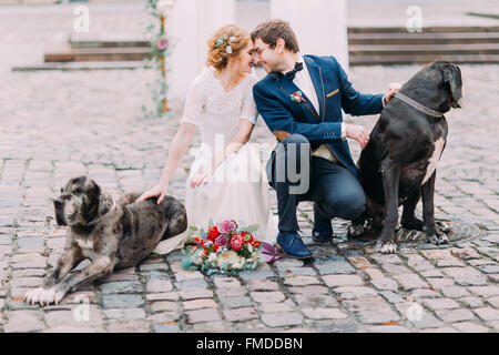 Stylish wedding couple with two purebred dogs  softly looking on each other sitting on their haunches Stock Photo