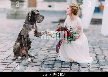 Nice big dog gives a pow to the gorgeous bride in the Lviv city center Stock Photo