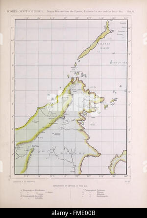 A detailed illustration from 'Icones ornithopterorum,' featuring ...