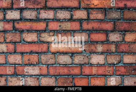 Old garden brick wall Stock Photo