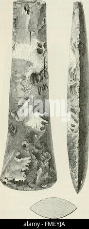The ancient stone implements, weapons, and ornaments, of Great Britain (1872) Stock Photo
