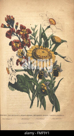 The Illustrated Botany is a comprehensive guide to various plant ...