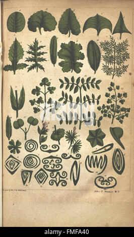 'The Illustrated Botany' is a visual guide to various plant species ...