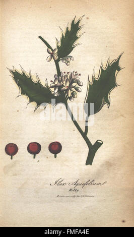 'The Illustrated Botany' provides a visual guide to a wide range of ...