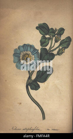 'The Illustrated Botany' is a botanical reference work featuring ...