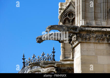 Gargoyles on Nôtre Dame Cathedral Paris Stock Photo