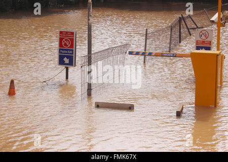 Jakarta, Indonesia. 12th Mar, 2016. Pesanggrahan River water that crosses Cipulir overflowed and flooded the parking lot of ITC, South Jakarta, Indonesia. Flooding from overflowing Ciliwung river made thousands of homes flooded. Based on data from Operations Control Center (Pusdalops) Regional Disaster Management Agency (BPBD) of Jakarta, as many as 12,134 lives, 3,366 families were flooded. Credit:  Sutrisno Jambul/Pacific Press/Alamy Live News Stock Photo