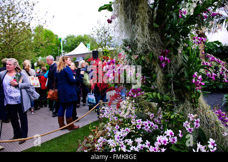 The Hidden Beauty of Kranji by Esmond Landscape 7 Uniseal Plants from a suburb in Singapore Chelsea Flower Show 2015 Stock Photo