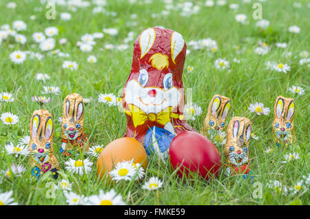 Wrapped Chocolate Bunny Family with Easter Eggs in the Grass Full of Daisy Flowers Stock Photo