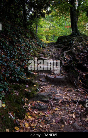 Smoky Mountain Stairway Stock Photo