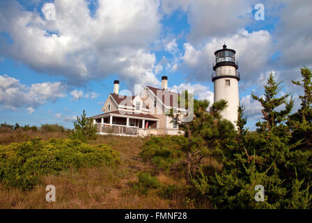 Shrubs around Cape Cod lighthouse on a sunny summer day with clouds. Stock Photo