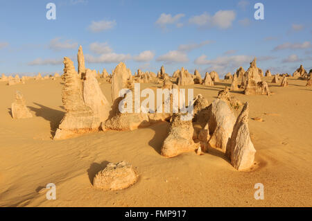 The Pinnacles, Nambung National Park, Cervantes, Western Australia, WA, Australia Stock Photo