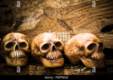 still life human skulls with light painting on wood background Stock Photo
