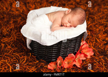 Little newborn baby boy sleeping inside basket Stock Photo