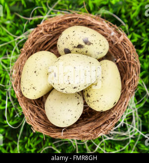Easter eggs in nest on meadow Stock Photo