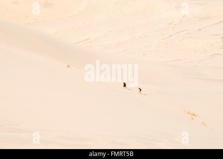 Two people hiking on the Eureka Valley sand dunes in Death Valley National Park, California Stock Photo
