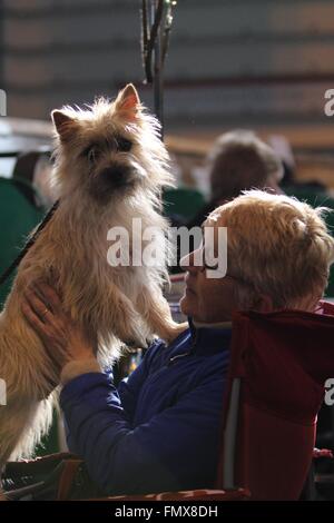 Birmingham, UK. 13 March 2016. It's all about cuddles on the final day at Crufts which celebrates its 125th Anniversary this year. Credit:  Jon Freeman/Alamy Live News Stock Photo