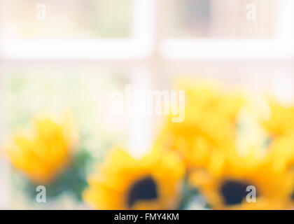 blurred background image of vase of sunflowers in front of traditional white framed window Stock Photo