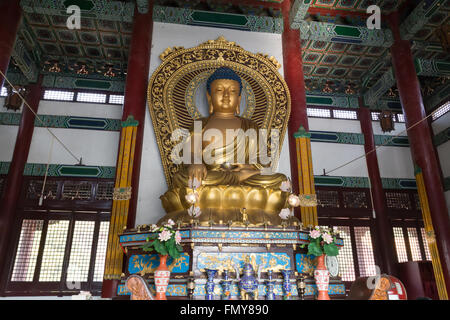 Lumbini, Nepal - November 26, 2014: Photograph a Buddha statue in the Chinese temple. Stock Photo