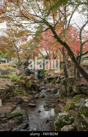 Nara Park, Japan Stock Photo