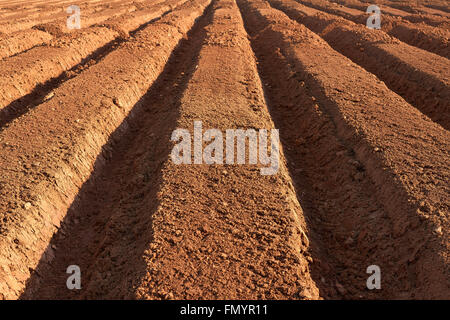 ploughed brown fertile farmland in a spring Stock Photo