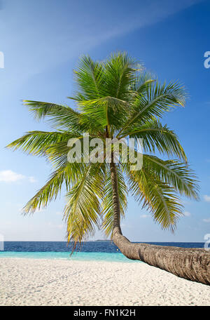 Maldivian island. Paradise in tropics. Stock Photo