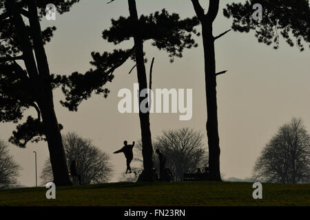 Bristol, UK. 13th March, 2016. UK Weather. People have fun on rope tied between the Seven Sister trees on the City Downs in Bristol during late evening sunset. ROBERT TIMONEY/AlamyLiveNews Stock Photo