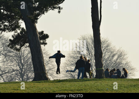 Bristol, UK. 13th March, 2016. UK Weather. People have fun on rope tied between the Seven Sister trees on the City Downs in Bristol during late evening sunset. ROBERT TIMONEY/AlamyLiveNews Stock Photo