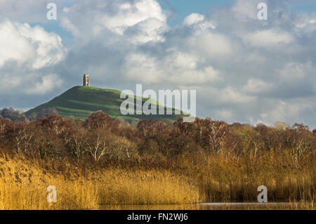 Glastonbury Tor rising over the Somerset Levels England Stock Photo